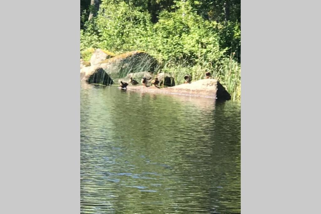 Vacker Hus I Naturen Fröseke Exterior foto